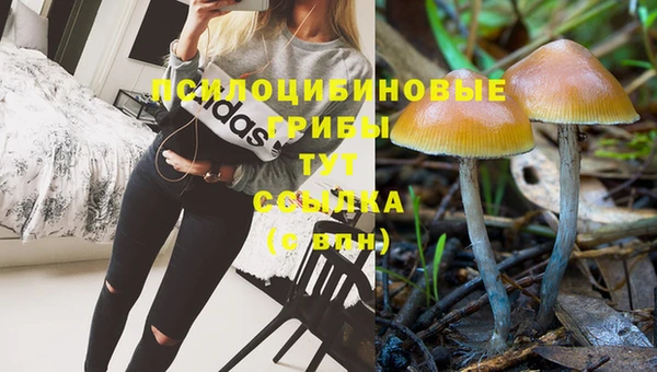 МДПВ Переславль-Залесский
