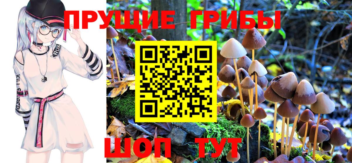 Балабаново  Галлюциногенные грибы Psilocybe  Вход с VPN 